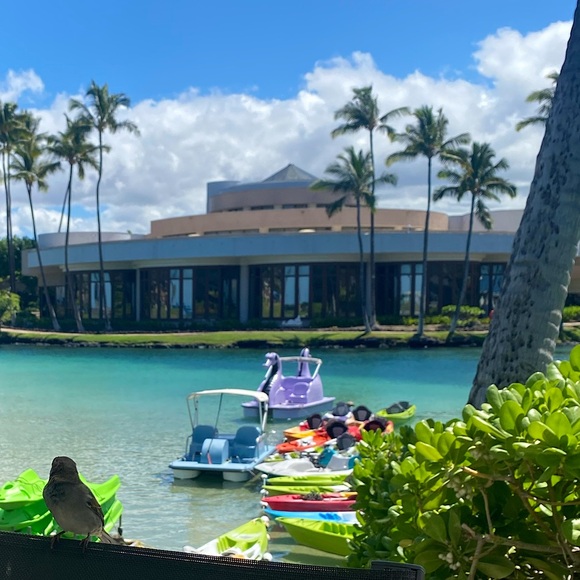 OUT OF OFFICE MEXICO🐬 closet temporarily CLOSED 😎 - Picture 7 of 17